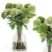Decorative Plants 04