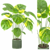 Indoor Plants in Ferm Living Bau Pot Large - Set04