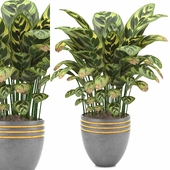 Indoor Plants in Ferm Living Bau Pot Large - Set05
