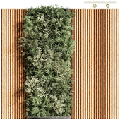 Wooden planks and vertical garden 09