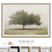 Aesthetic Nature Photo Panoramic Wall Art P-627