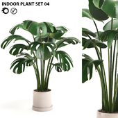Indoor Plant Set 04