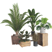 Outdoor Boho Plant Collection 01