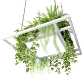 Square pendant lamp framed with houseplants