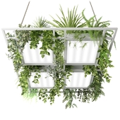 Square pendant lamp with plants