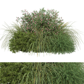Bush-Grass-Flower- No.8