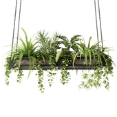 Hanging net with houseplants and hanging plants