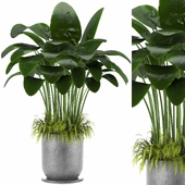 Indoor Plants in Ferm Living Bau Pot Large - Set08