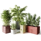 A set of indoor plants in decorative rectangular pots AARDE