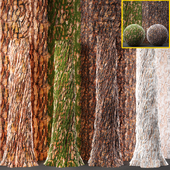 4 Tree bark and trunk vol 1 - 4k - pbr , tileable