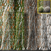 4 Tree bark and trunk vol 2 - 4k – pbr & tileable