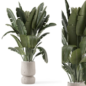 Indoor Plants in Ferm Living Bau Pot Large - Set 1458