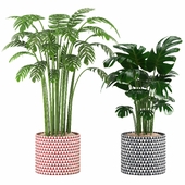 Indoor Plants in Ferm Living Bau Pot Large - Set011
