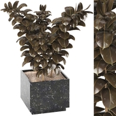Indoor Plants in Ferm Living Bau Pot Large - Set014
