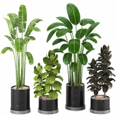 Indoor Plants in Ferm Living Bau Pot Large - Set017