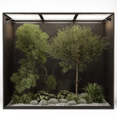 outdoor garden tree plant011 collection
