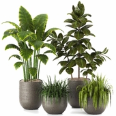 Indoor Plants in Ferm Living Bau Pot Large - Set018
