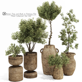 Bonsai Tree and Bush in Pottery Pot 133 Corona