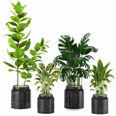 Indoor Plants in Ferm Living Bau Pot Large - Set019