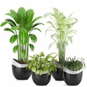 Indoor Plants in Ferm Living Bau Pot Large - Set023
