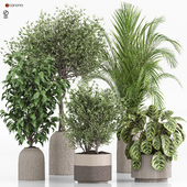 indoor plants set 022
