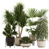 Indoor Plant Set 12