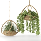 boho-hanging-plants