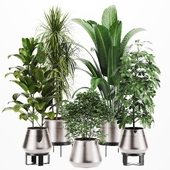 Plant Set 45