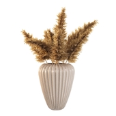 Dried Cane flower in a vase
