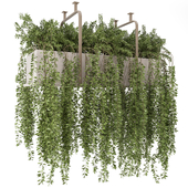 Indoor Hanging Plants in Metal Box - Set 1542