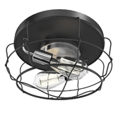 Gauge Collection Two-Light Flush Mount By Progress Lighting