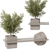 Outdoor Bench Rock Olive