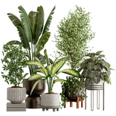 Indoor Plant Set 26