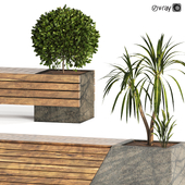 2 bench set with plants