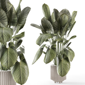 Indoor Plants in Ferm Living Bau Pot Large - Set 1587