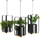 Hanging Indoor Plant - SetV4