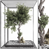 Indoor Decorative Bonsai Tree and Rocks_ Collection 194