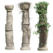 Antique column with ivy