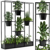 Indoor plant set 04 with black pots on the stand