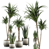 A set of palm and aloe vera plants with a concrete pot-06