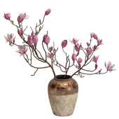 Magnolia Shrubs In Clay Vase  04