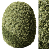 Topiary Ball Bush Set 122