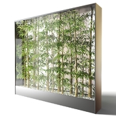 Bamboo in a glass container, office partition