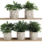 Plants on Shelf SetV5