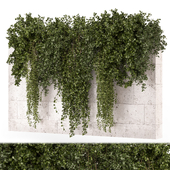 Hanging Plants in Concrete Wall - Set 1666