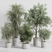 indoor plant set 415 plant tree palm bush concrete dirt vase