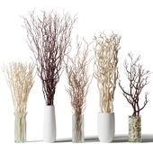 Dry branches in a vase