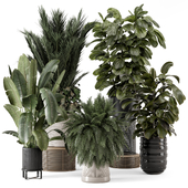 Indoor Plants in Ferm Living Bau Pot Large - Set 1688