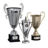 Sports award cup trophy. Set of three cups.