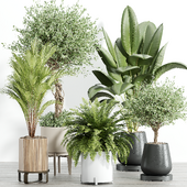 Indoor Plant Set 073